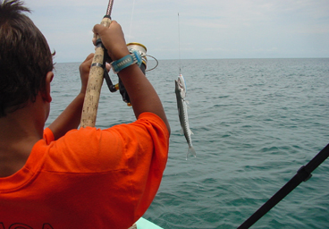 fishing Belize